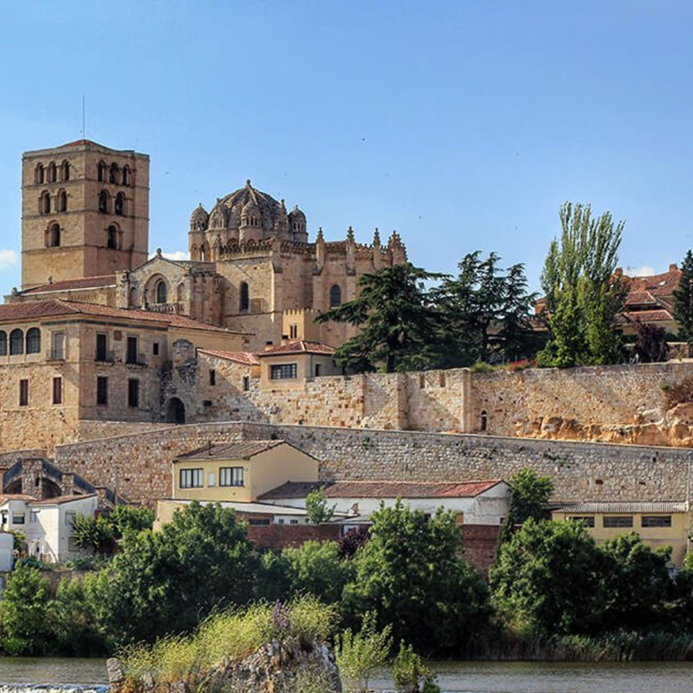 Zamora