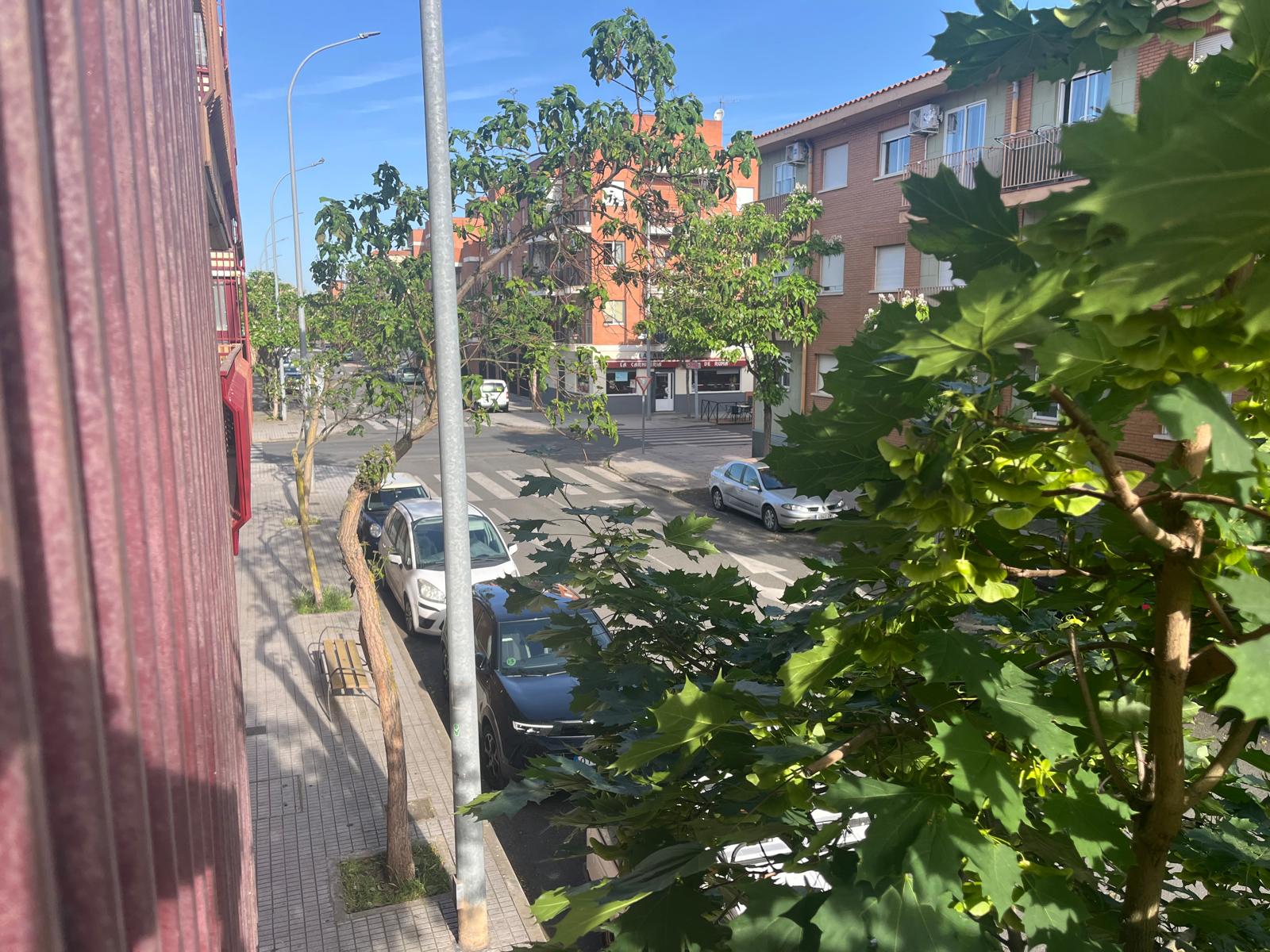 PISO EN ALQUIILER SALAS BAJAS